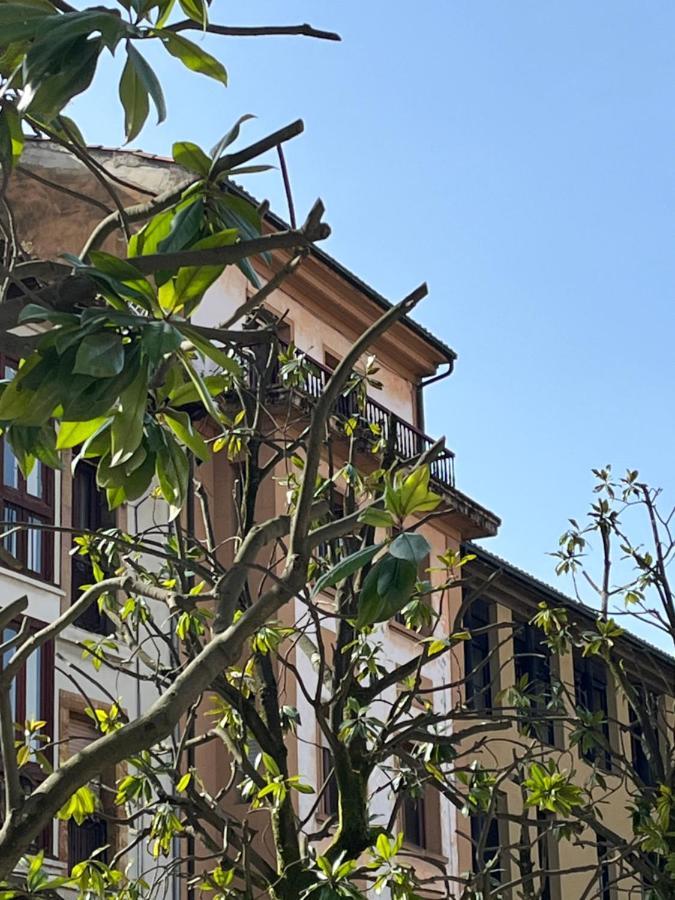 Apartamento Wamba - La Catedral โอเบียโด ภายนอก รูปภาพ